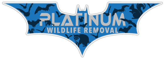 Animal Removal Hartford City